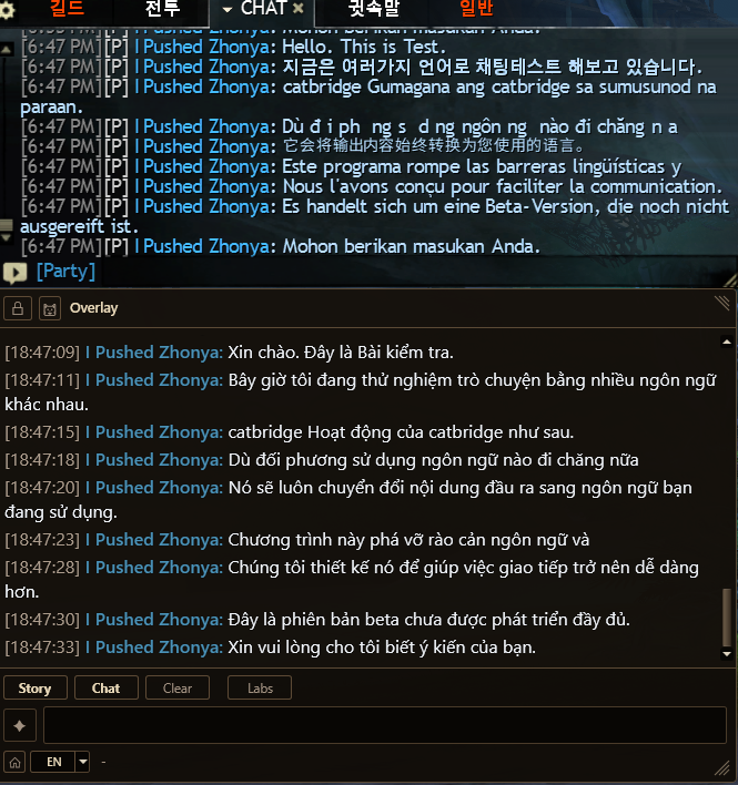 Party chat translated into Vietnamese