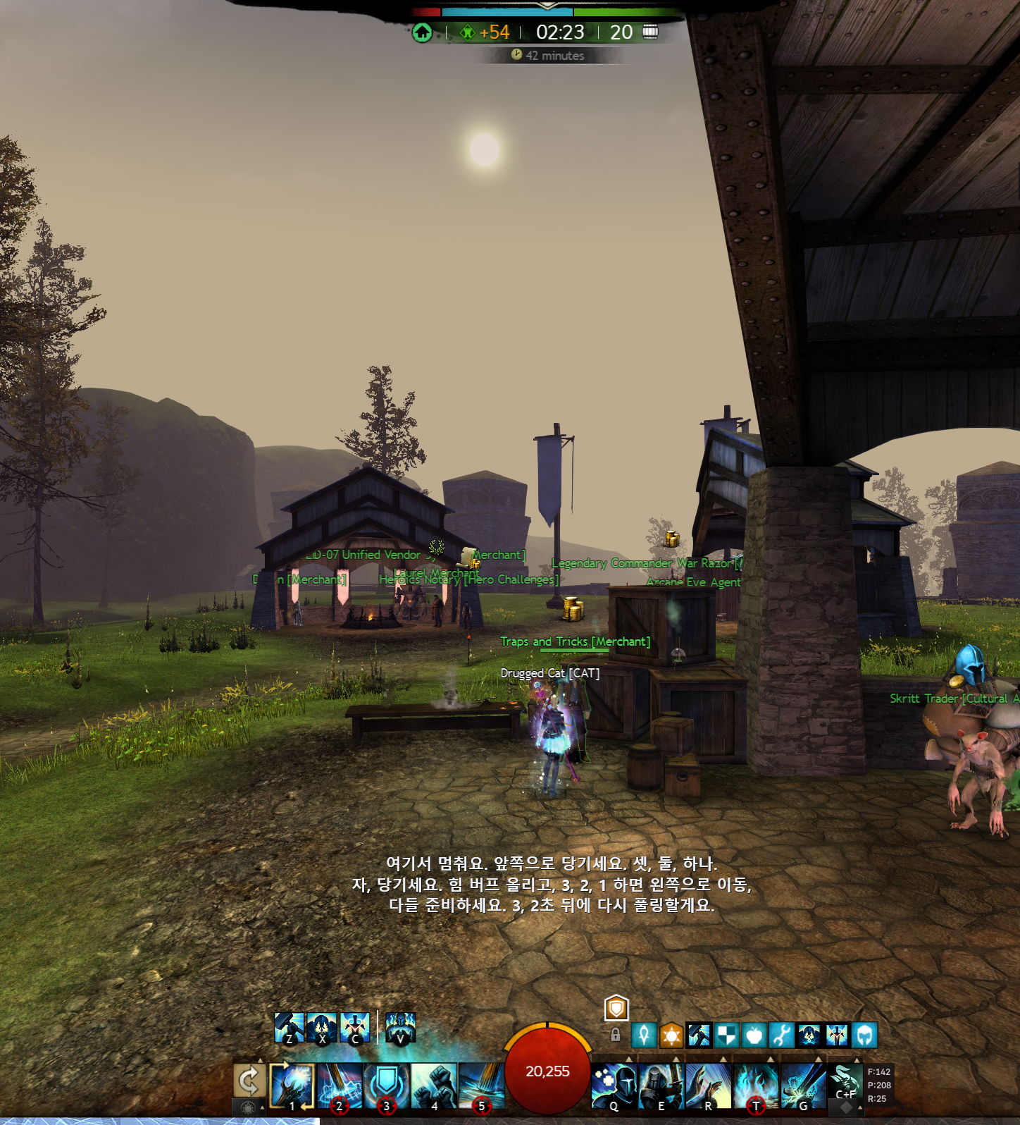 CatBridge Discord voice translation over Guild Wars 2