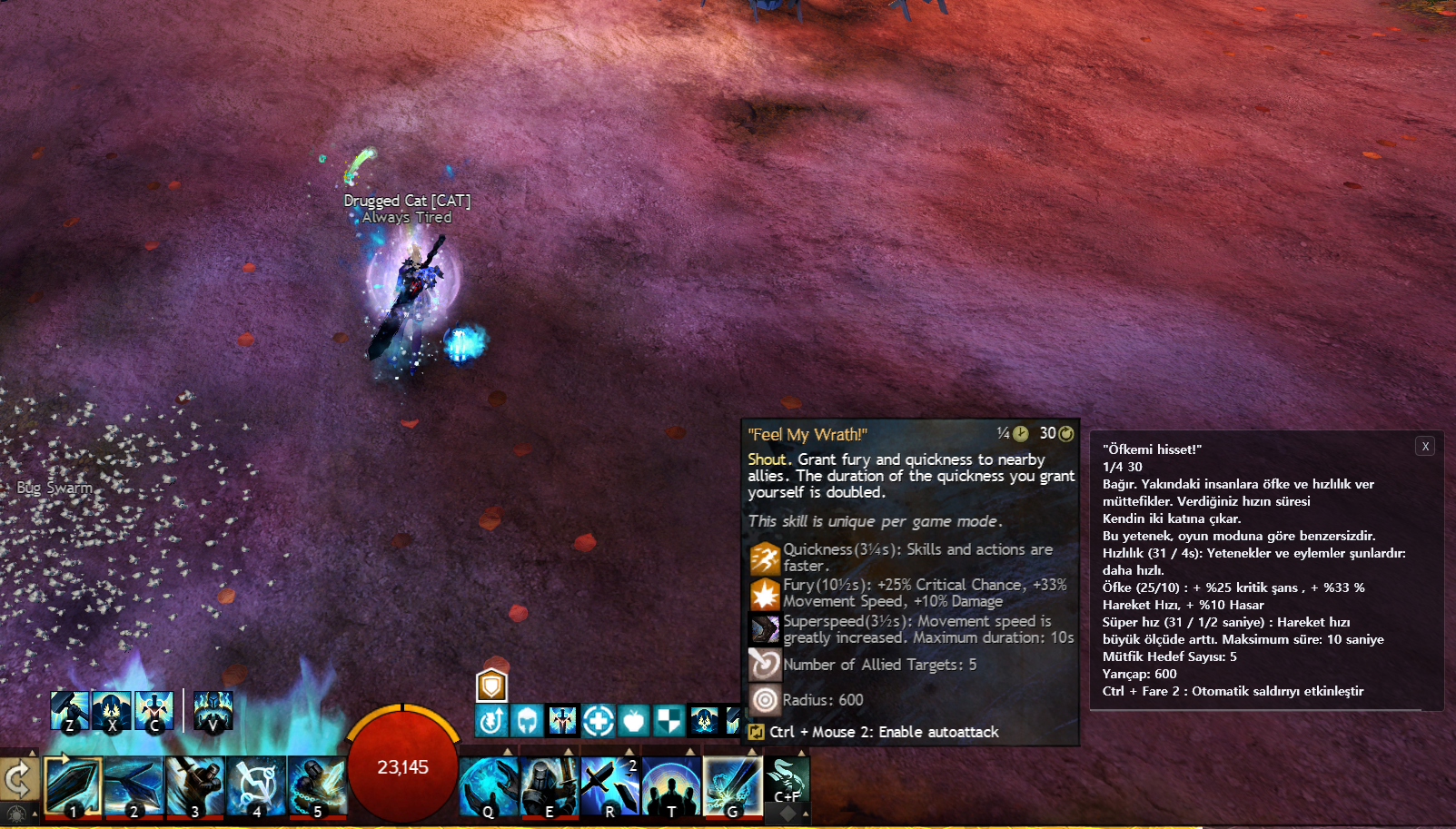 CatBridge OCR translating a skill tooltip into Turkish